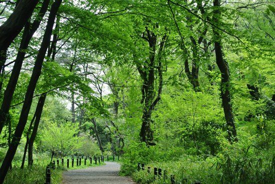 Nationalpark for Naturstudier